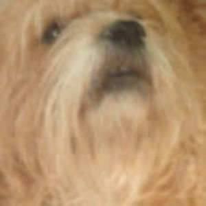 Meet your Posher, Janet